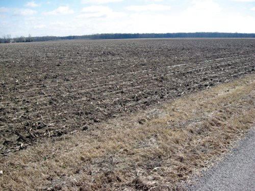 Property photo 25 - 127 Acres Offered in 4 Tracts